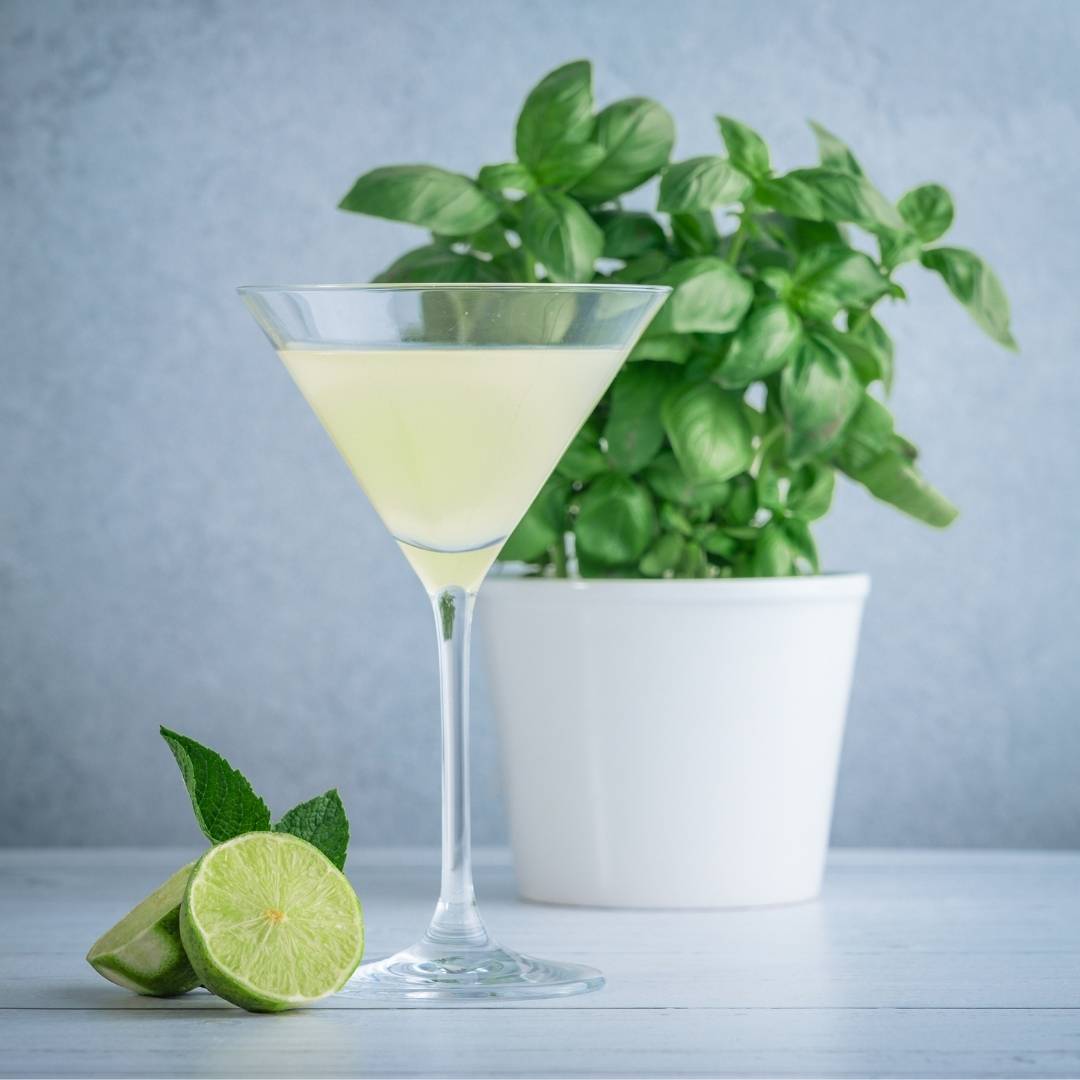 Cucumber Gin Cocktail